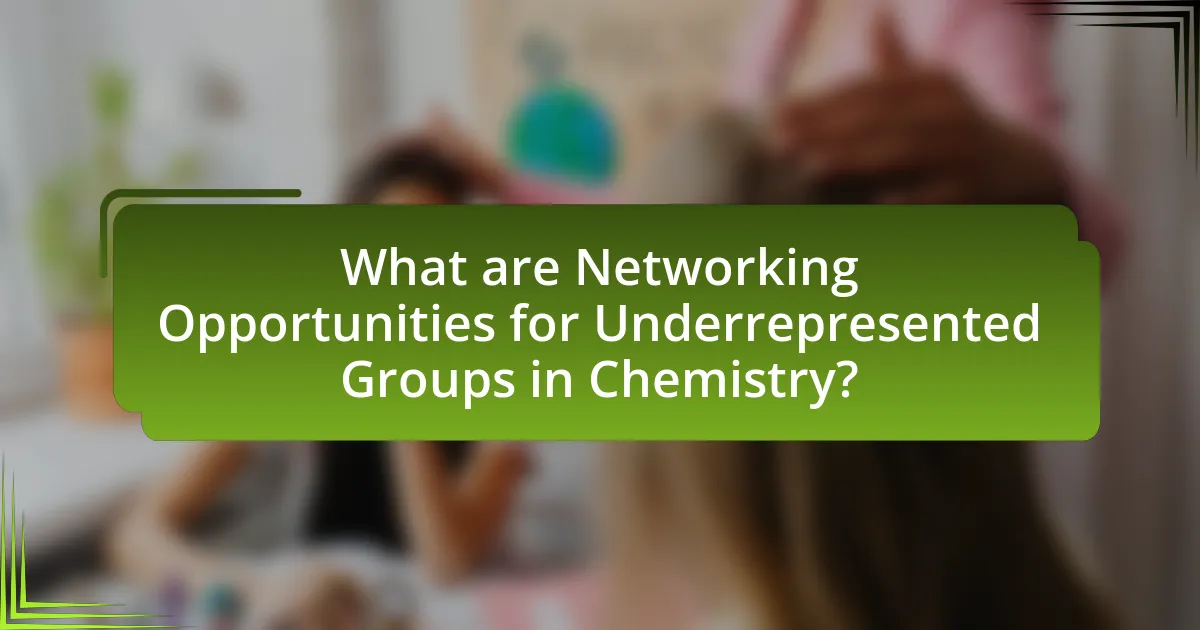 What are Networking Opportunities for Underrepresented Groups in Chemistry?