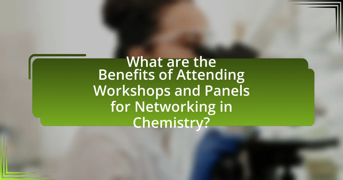 What are the Benefits of Attending Workshops and Panels for Networking in Chemistry?