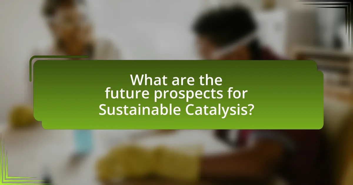 What are the future prospects for Sustainable Catalysis?
