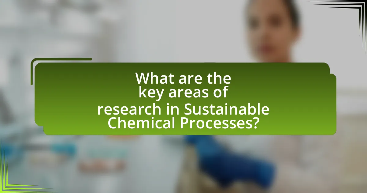 What are the key areas of research in Sustainable Chemical Processes?