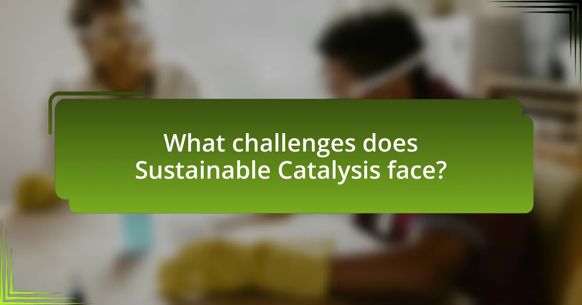 What challenges does Sustainable Catalysis face?