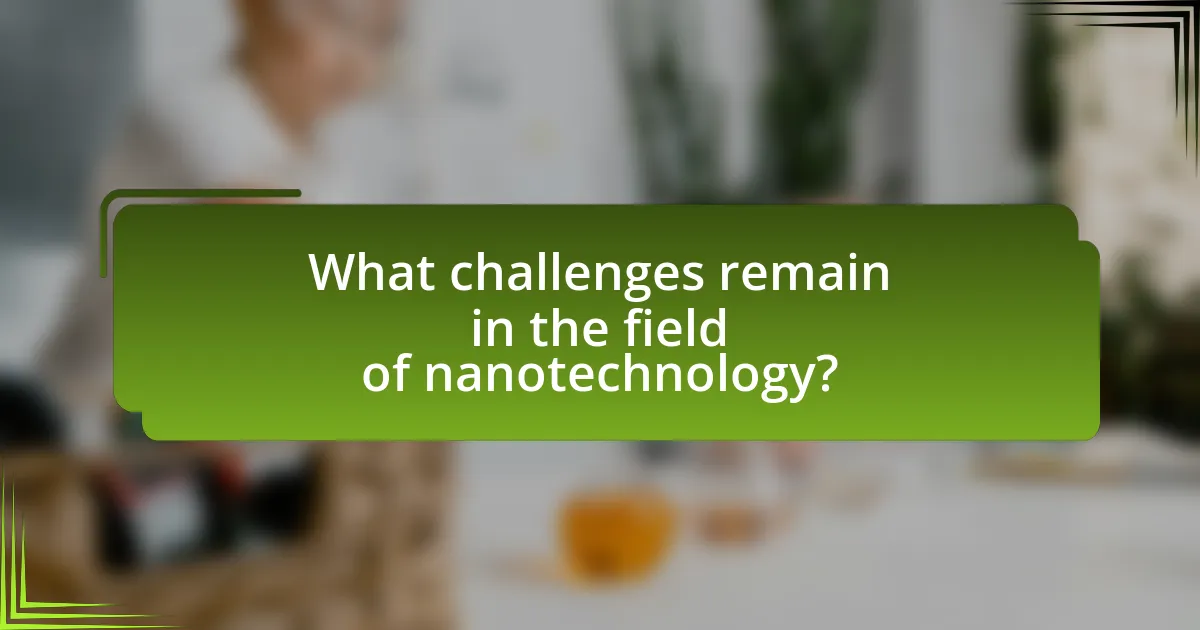 What challenges remain in the field of nanotechnology?